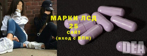 крисы Дубна
