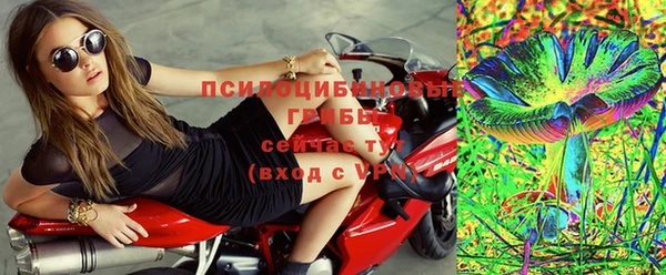 ешки Аркадак