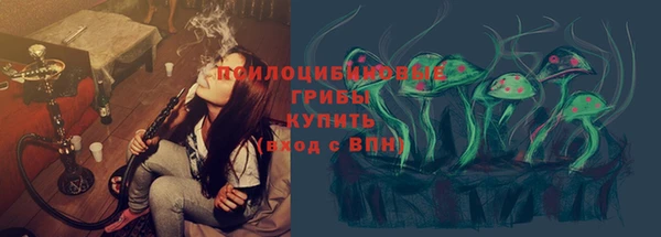 ешки Аркадак