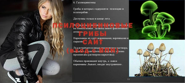 ешки Аркадак