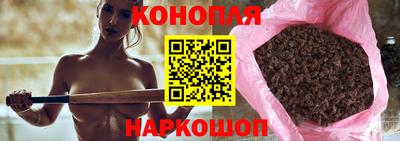 гидра Кингисепп
