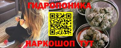 гидра Кингисепп