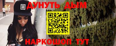 гидра Кингисепп