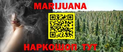 гидра Кингисепп