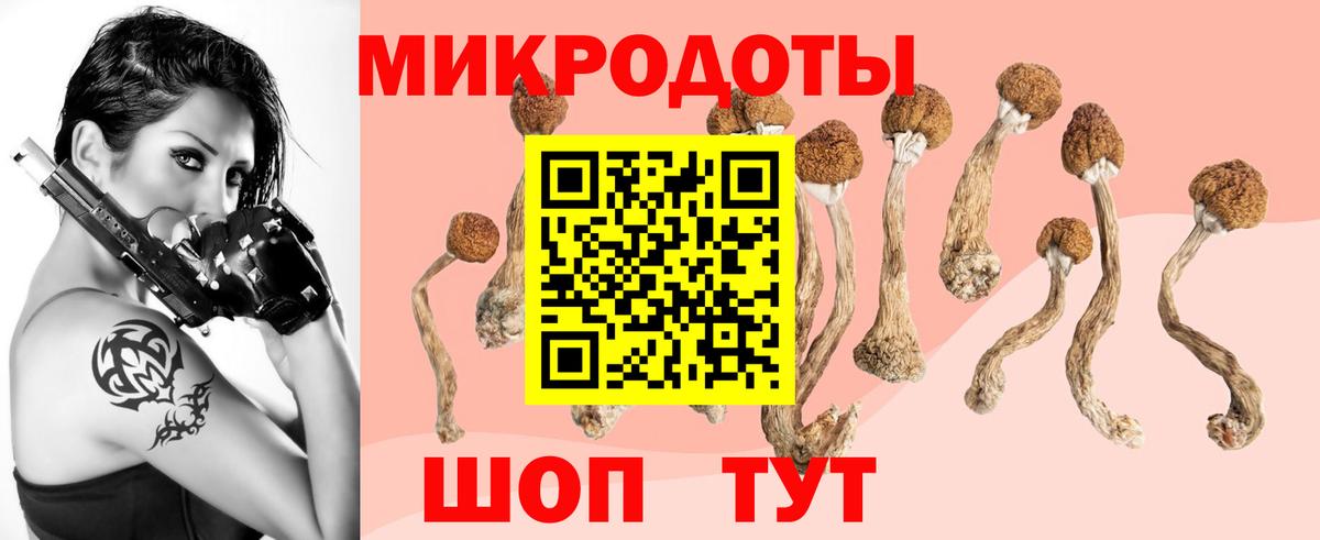 Галлюциногенные грибы ЛСД Заинск